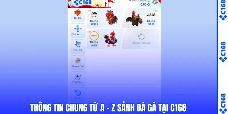 Tổng hợp từ A - Z thông tin chung sảnh đá gà C168